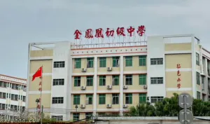 凤岗新盘【金沥河畔大厦】真正的学区房!2房特价39.8万 7 104823vo0laalivkl0okg0
