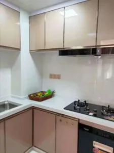 深圳东惠州沥林《城市花园》零距离6栋480套 5 113707r0tetpf5f54tb1ax