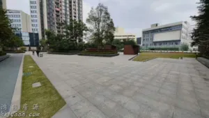龙华大型花园小区,新都花园,超级笋盘 6 144040zwiwuv8ev8r8rv4k