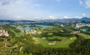 龙岗南约旧改回迁指标南约重点城市更新项目单价一字头 7 144909rvvc0fn0mm7tfmyd