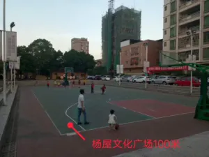 大岭山杨屋4栋规模小区新盘文苑华府 7 153029oqou2b8teq8pl82o