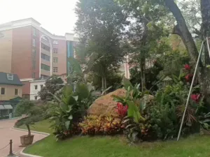 龙华大浪服装基地大型花园小区集体大红本现楼 5 153452rbbsm98ismggz9i9
