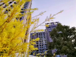 【罗湖红岭国际】盛大来袭 罗湖中心 地王大厦旁军产房 5 154806c4mab44y425zb45i