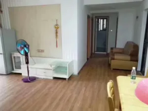 155022t43hw8i1g1egzqj1
