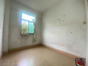 布吉未来城,原始户型精装2/3房,地铁口物业,交通四通八达 7 162442vza912788zz2995s