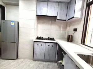 塘尾幼儿园旁精装两房一厅,电梯高楼层,业主急售65万 4 162938vref8jjefyf1pkzf