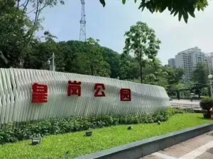 深圳福田第一村黄岗村【皇岗壹号】带电梯,永久性产权 9 163532bdud5ybdda654yag