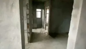 174644rtynjzxrtnttcxrz