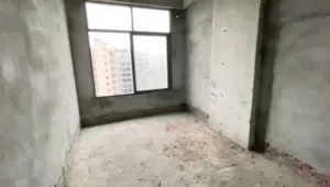 长安安丰家园现房交付,首付五成无条件分期3年 5 174651wnk6tx6hntaantnq