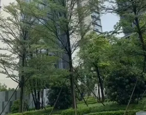 龙华观澜9栋大规模花园小区【龙华印象天地】️2-4房 7 192559pus9u9n5np1snvpl