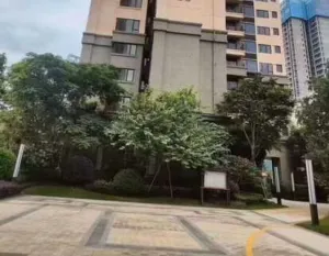 龙岗坂田商品房标准正规统建楼雪象小筑 8 195520ubejrluyerlibztj