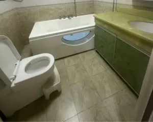 20250326120930