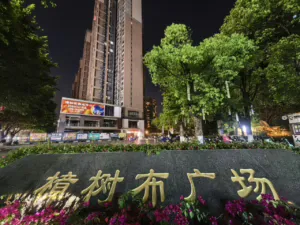 罗湖后花园【南岭幸福城】南岭地铁口300米核心区域 5 20250328101132