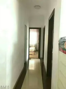203528h2ccp499cymeviem