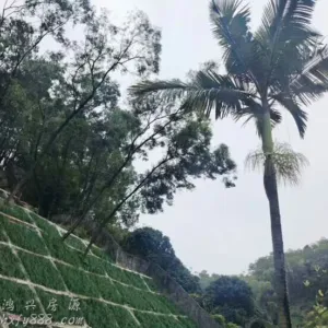 深圳龙岗吉华德富花园,户户全新精装,采光通风好,38.5万起 7 211846a5552tv8vpf0o72g