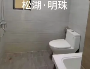 松山湖旁超级大盘6栋花园小区松湖明珠空中花园,双层停车场,地铁R3号线800米 5 215407yawt73tof79te8jl