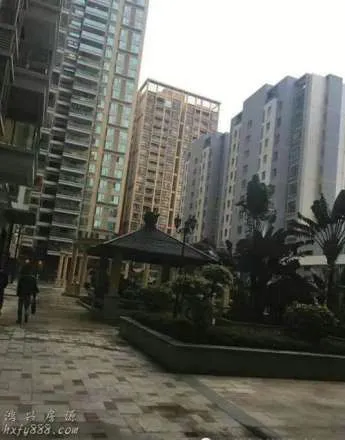 深圳小产权房是风口的猪还是待宰的羊? 2 image 198 png