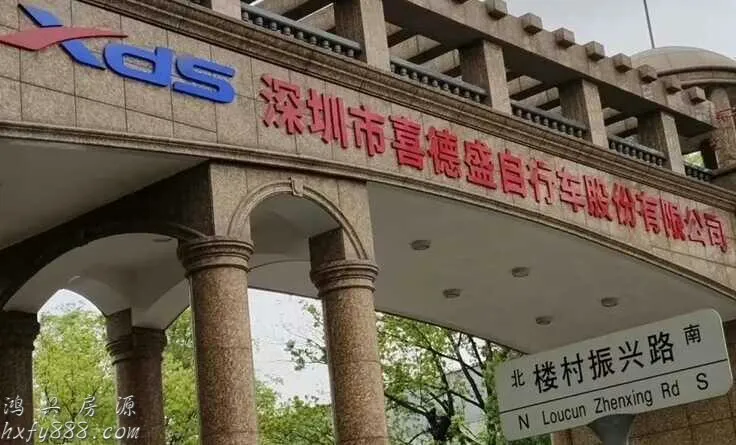 2023深圳首宗!历史违建悄悄拿到确权“红本” 1 image 387 png