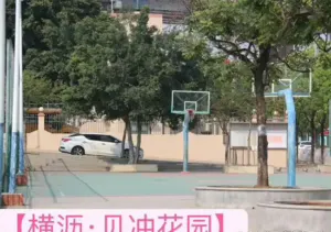 横沥【贝冲花园】6栋花园小区带停车场,首付5万起,无条件分期20年,2980元/平任挑任选 7 1744518547730
