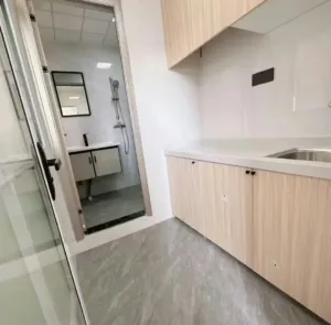 20250401085818