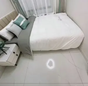 20250401085840