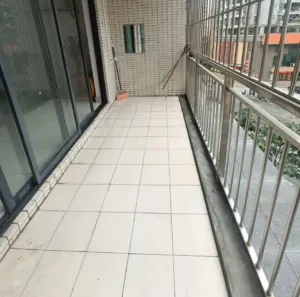 20250411215246