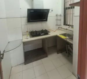 20250411215251