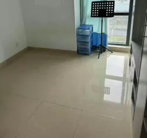 20250413115216