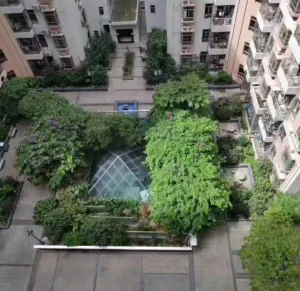 20250512113124