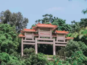 mmexport1751958195407