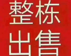 zhengdongchushou